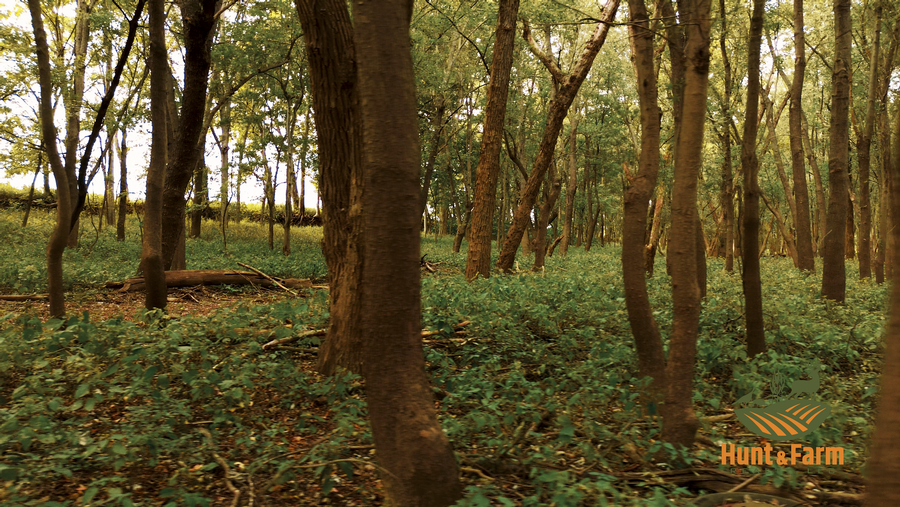 Still 2025-10-28 135545_1.21.1.png